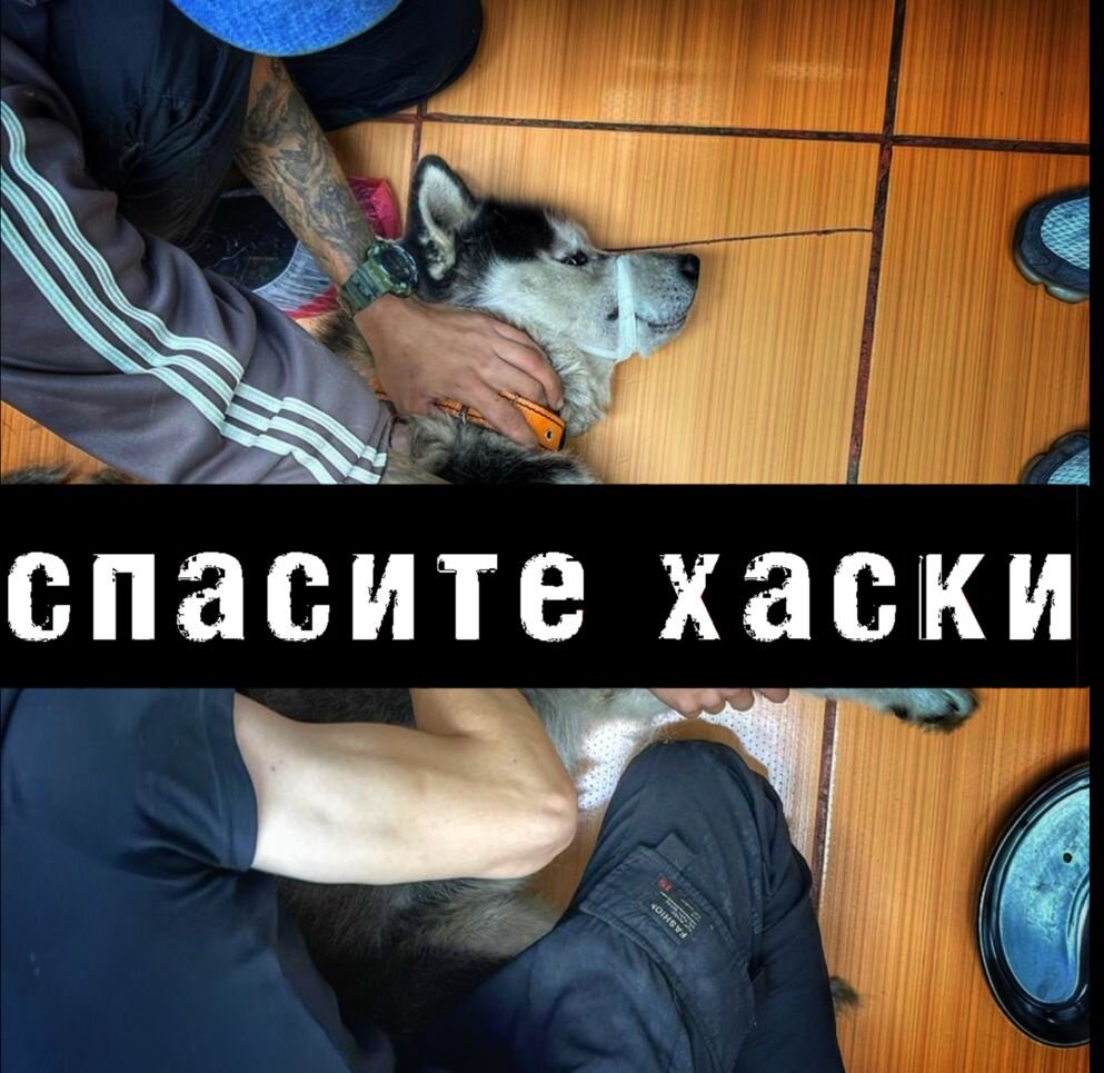 Пожалуйста, не оставайтесь в стороне! Одним нам не справиться...