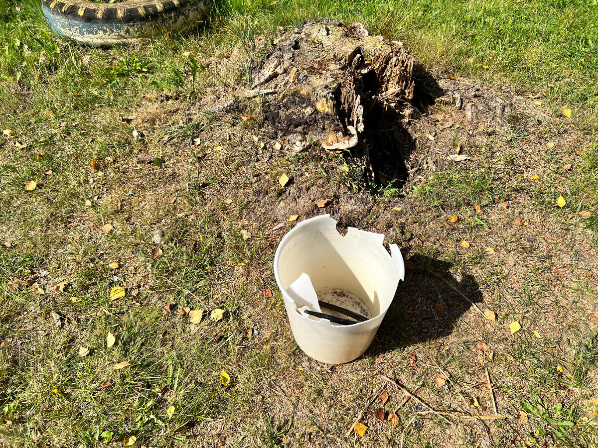 Дело лап медведя. То самое ведро