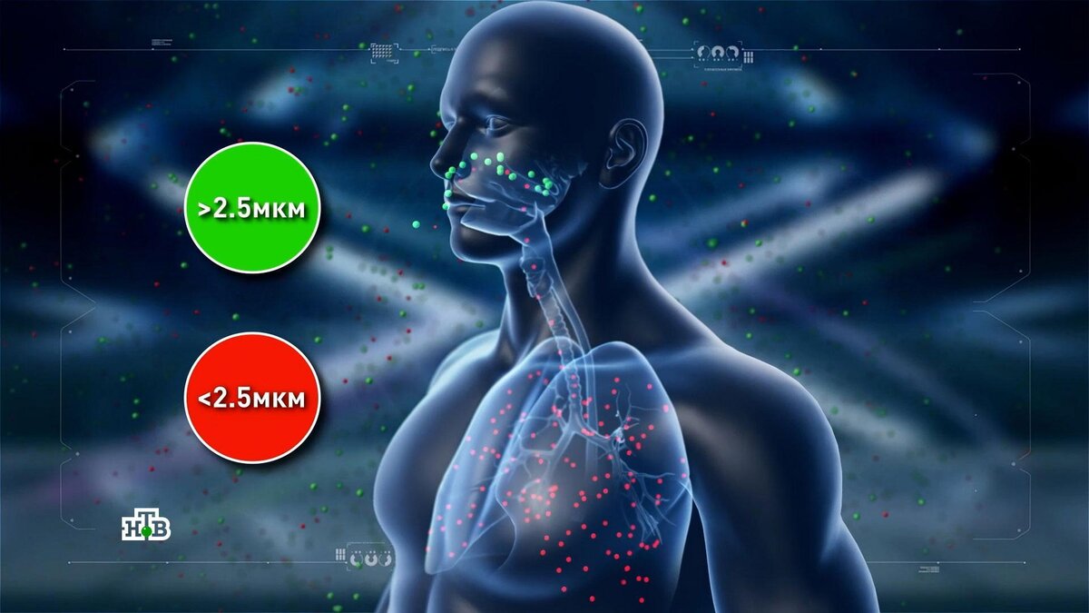 Невидимые убийцы: чем опасны витающие в воздухе частицы PM2,5 | НТВ: лучшее  | Дзен