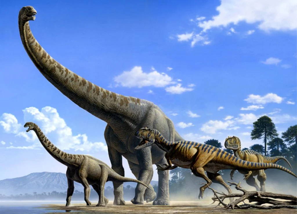 Самый большой динозавр Аргентинозавр. Диплодок Аргентинозавр. Диплодок динозавр Аргентинозавр. Аллозавр и Диплодок. Больше про динозавров