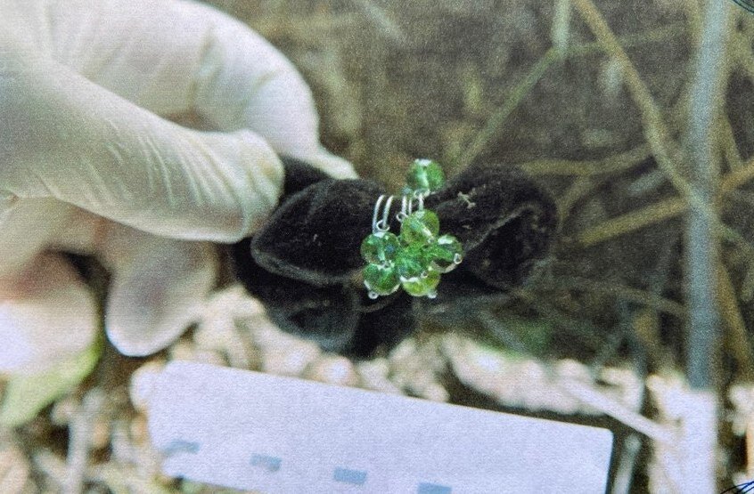    Изнасиловал и задушил. В Оренбурге завершено дело об убийстве у «Армады» в 2014 году Белов Михаил Александрович