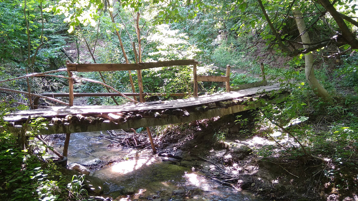 Река Татарка (татарский лес)