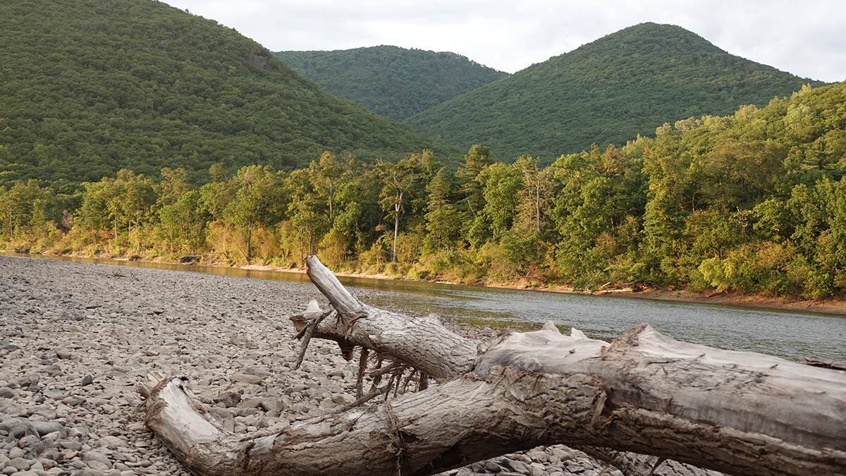    Фото: Виктор Хабаров / Вечерняя Москва