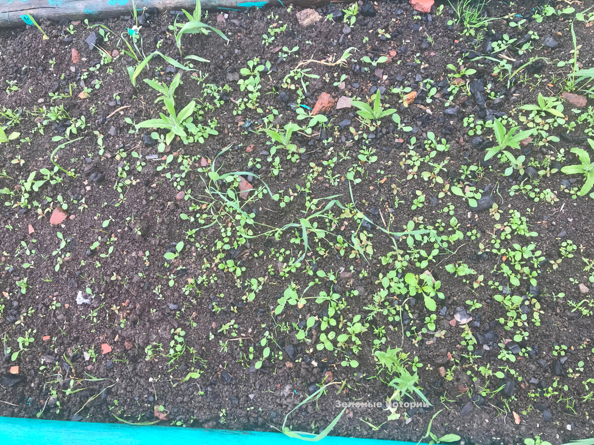 Так было до обработки