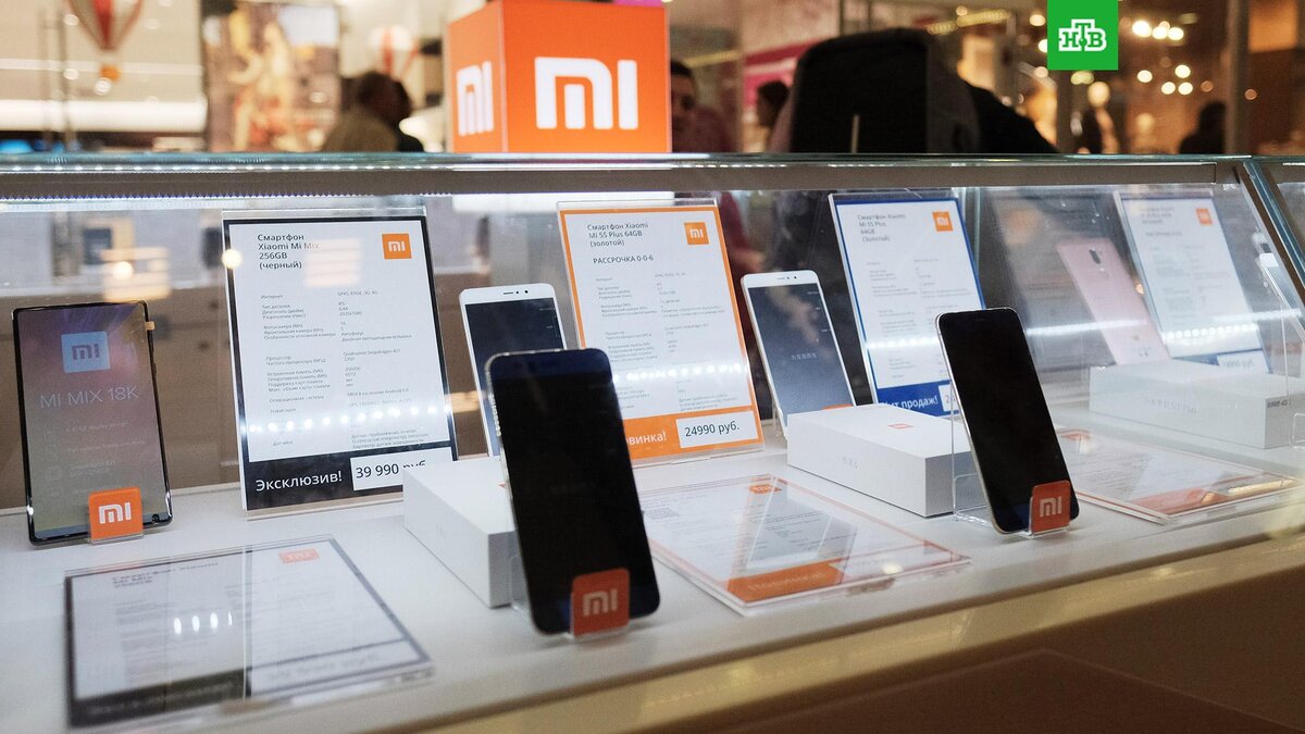    Фото: РИА Новости © 2023, Наталья Селиверстова