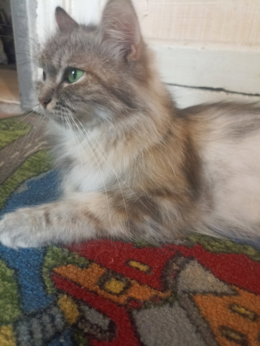 Микки. Она же Муся, Дуся, Маруся и ещё куча всякого