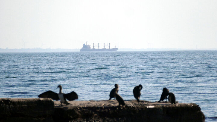 ФОТО: YULII ZOZULIA/KEYSTONE PRESS AGENCY/GLOBALLOOKPRESS