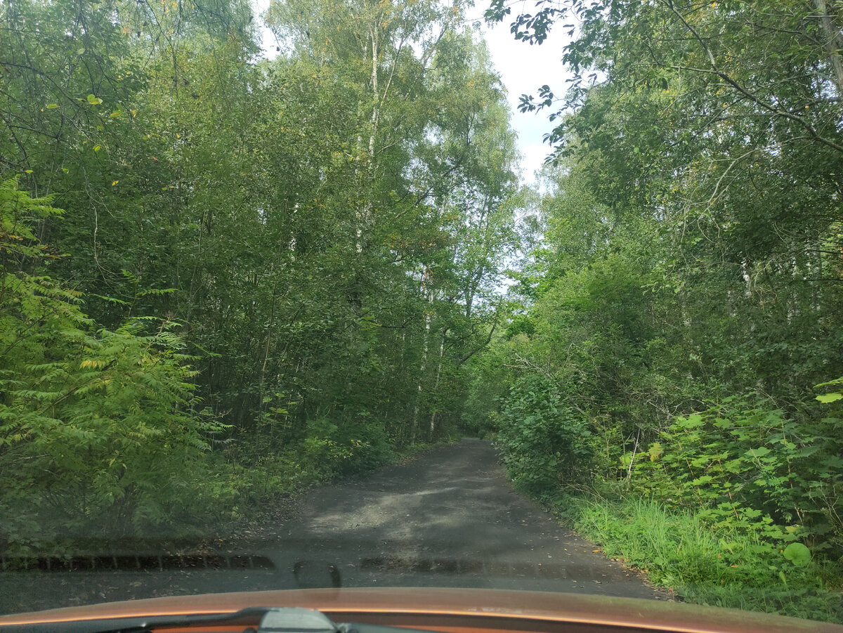 Дорога к тропе. Конечно, здесь все её прелести не видны. Но действительно может и проще пешком дойти. 