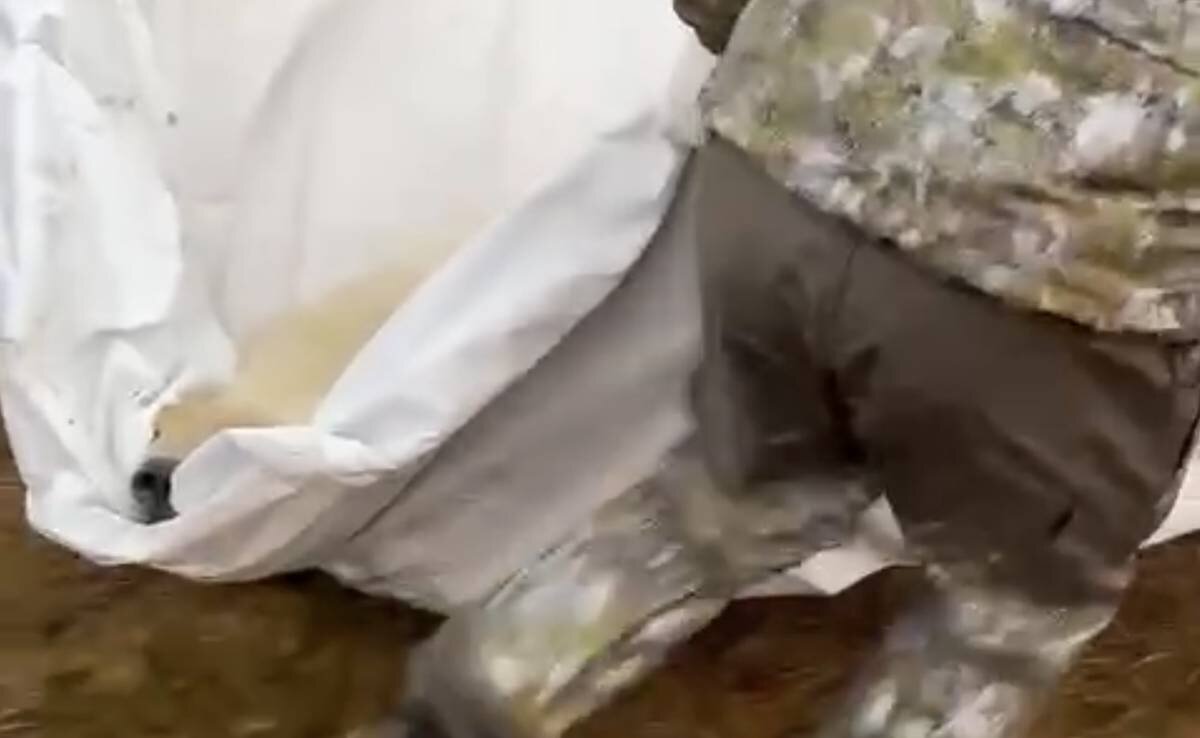    Фото: Московский зоопарк