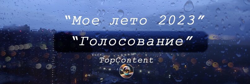как голосовать