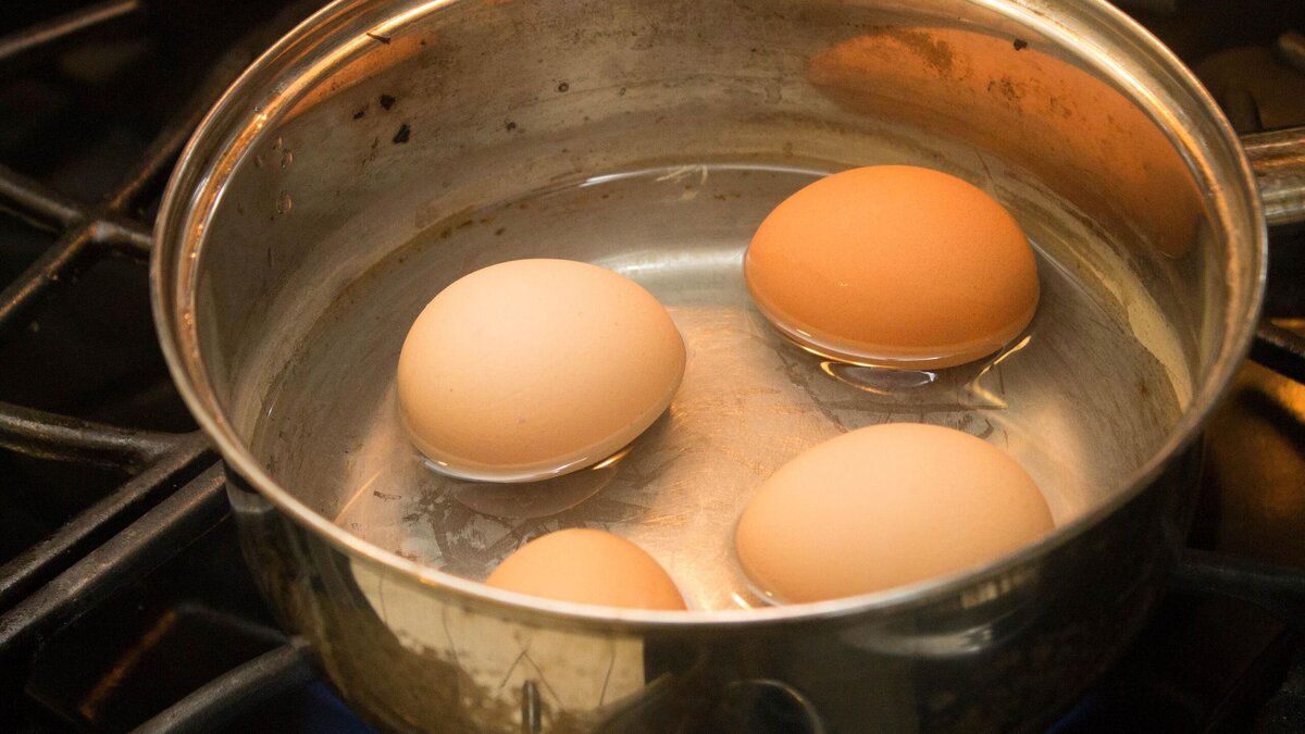 Могут ли испортиться яйца