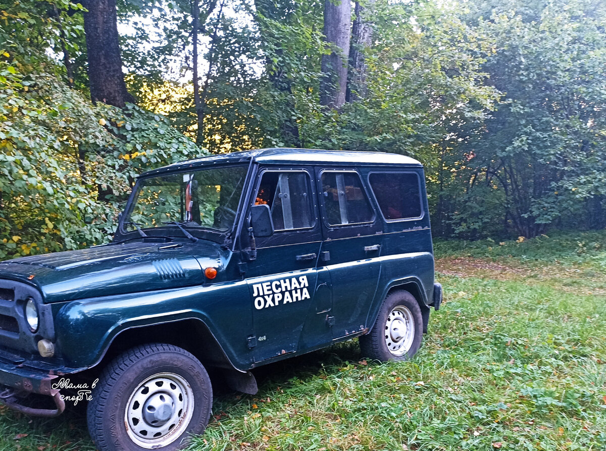 Машина лесничего.