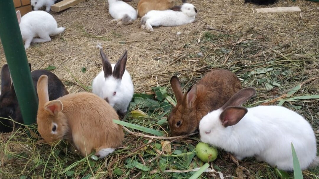 Фото из архива автора