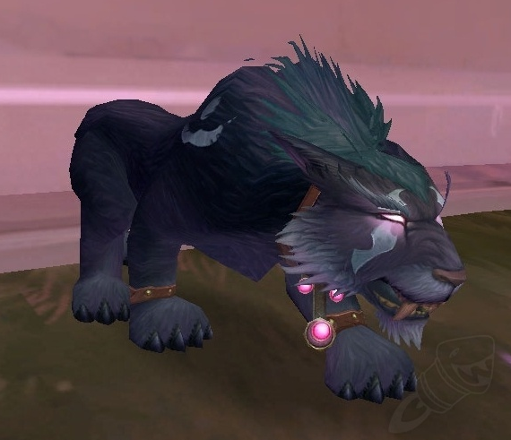 Новая форма