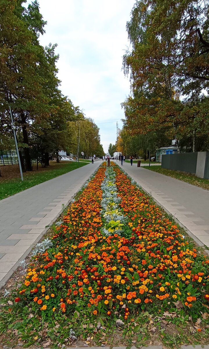Лианозовский променад. 24.09.2023 г., суббота. Все секреты по карманам, я гуляю с доберманом *зачёркнуто* с организмом. Фото автора. 