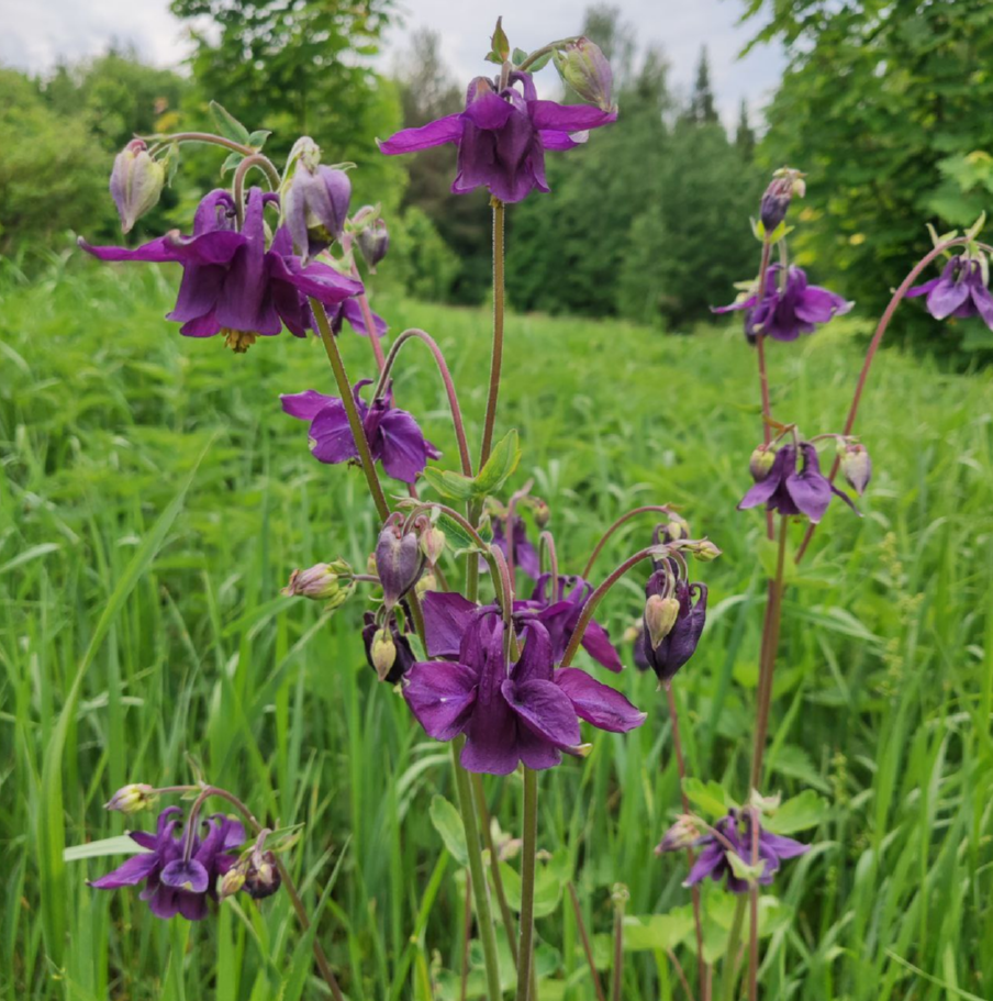 Благодарна всем, кто читает и ставит лайки. Мне очень приятно! 
А подписчикам шлю лучики добра и счастья. Вы лучшие!