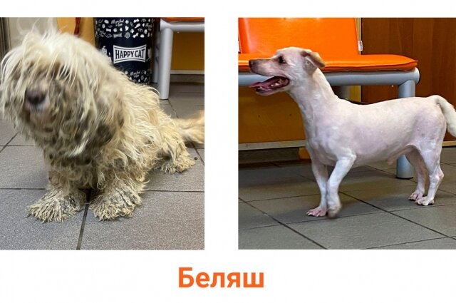    Фото: Из архива/ Ветеринарный комплекс