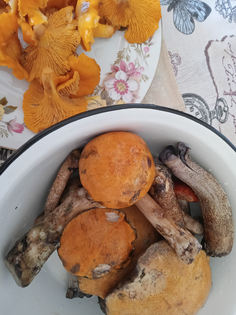 Фото автора.