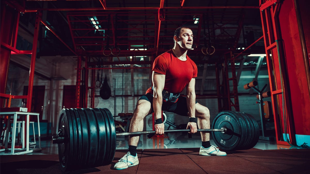 Источник фотографии: Яндекс картинки 
