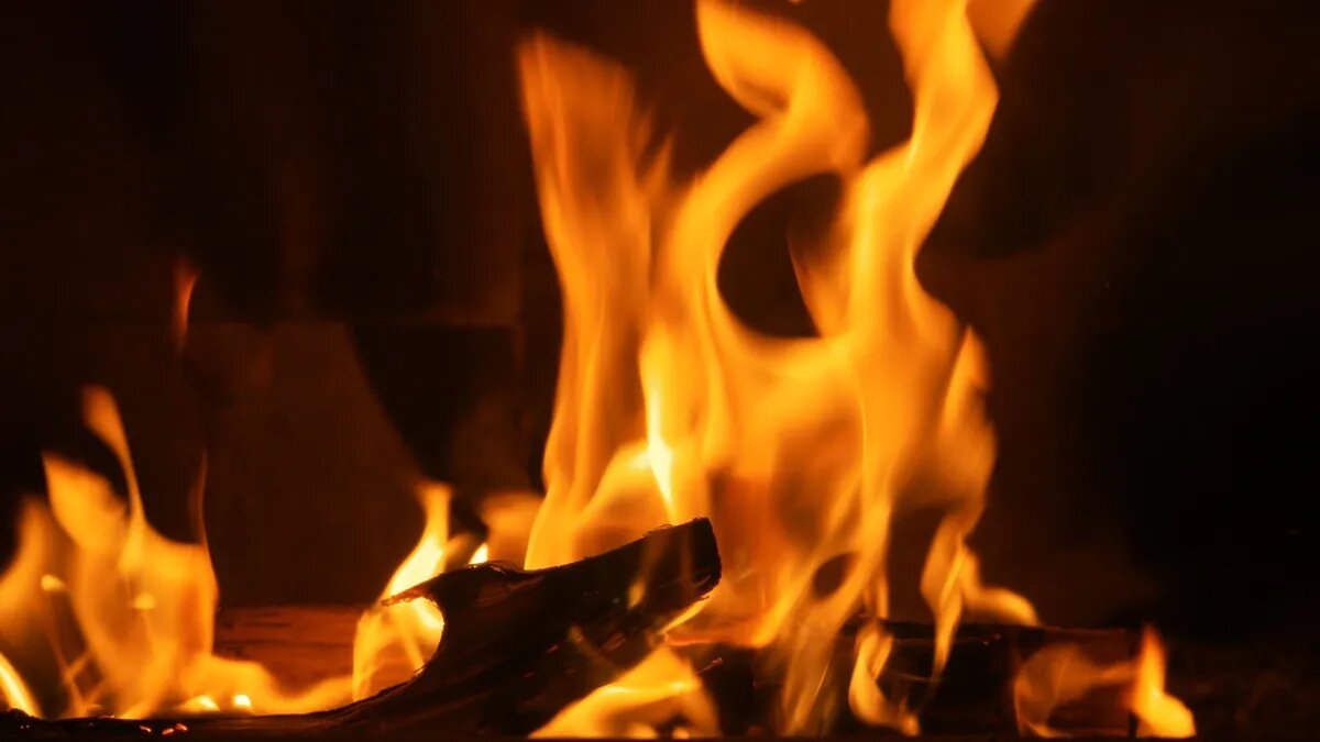 Фото: Håkan Bergström