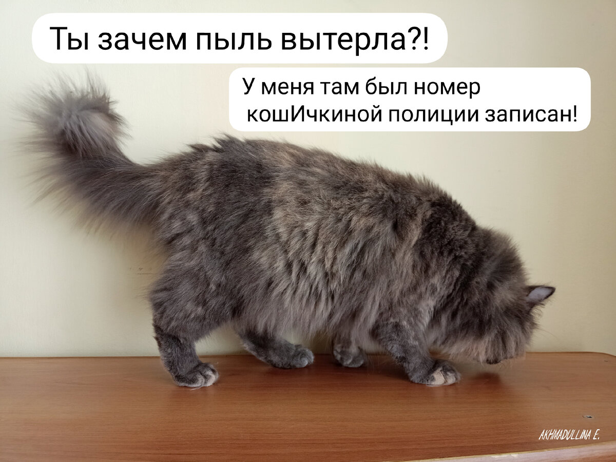 Упс!😅