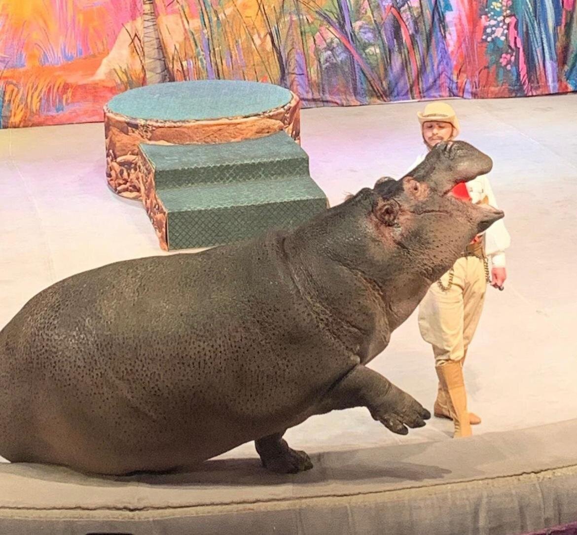 Спектакль По следам Снежной королевы в театре Уголок Дурова © "Покажу Москву"
