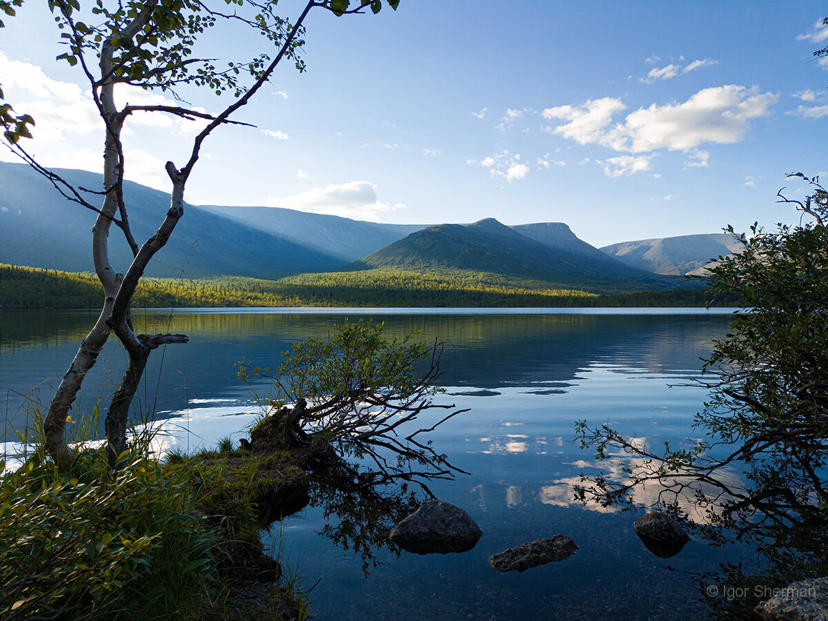 Телефон Realme 9Pro+, фокусное расстояние эквивалент 24 мм.