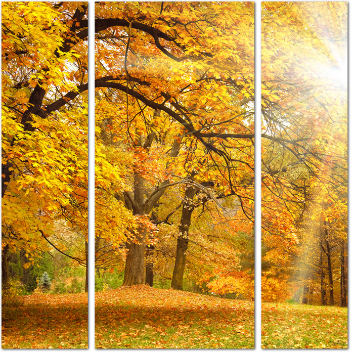 Изображение из открытых источников