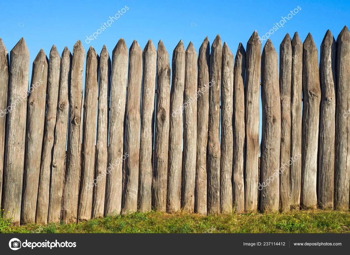 Тан (яндекс-картинки)