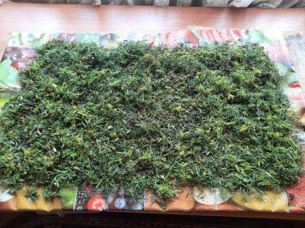 Сушить укроп можно или на сушилке. или на расстеленной ткани. Не стоит сушить в духовке - трава потеряет цвет и часть витаминов.