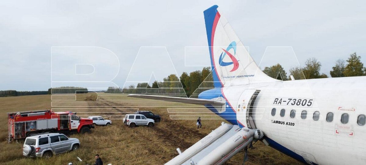 Фото: тг-канал Baza