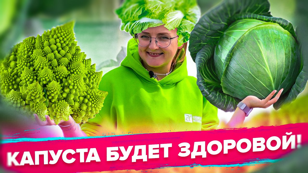 Защита от вредителей