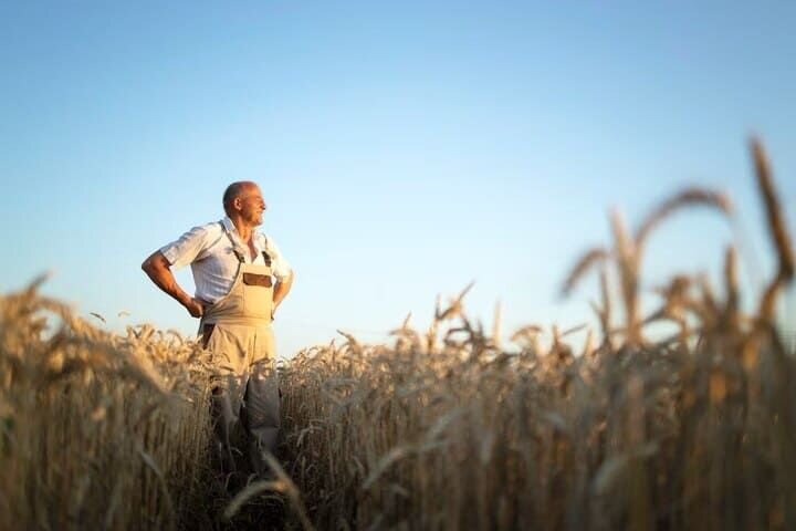 За более чем 30 лет в фермерском бизнесе Владимир Николаевич видел многое: хорошие урожаи, неурожайные годы, сложности с реализацией выращенного зерна, нехватку техники.