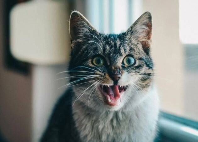 Голод и жажда