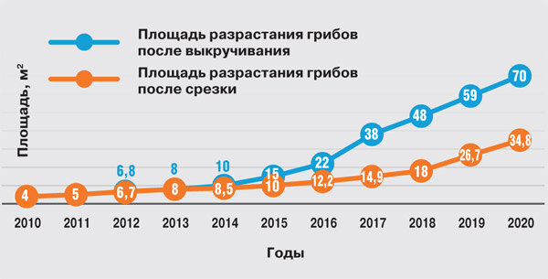 Срезать или выкручивать? Российские учёные провели эксперимент, чтобы раз и навсегда решить этот вопрос. Выводы могут вас удивить!