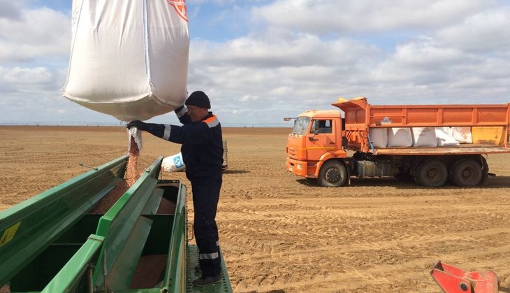    Волгоградские аграрии намерены отгружать зерно в соответствии с конъюнктурой рынка