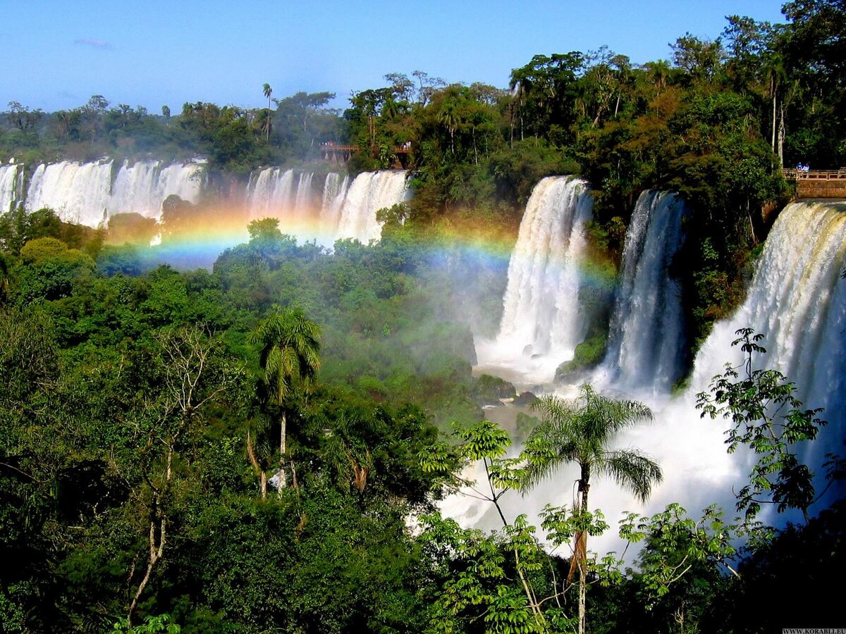 Водопад Игуасу. Водопад Игуасу Радуга. Парк Игуасу водопады. Водопады Игуасу фото в Бразилии. Бразилия природный мир