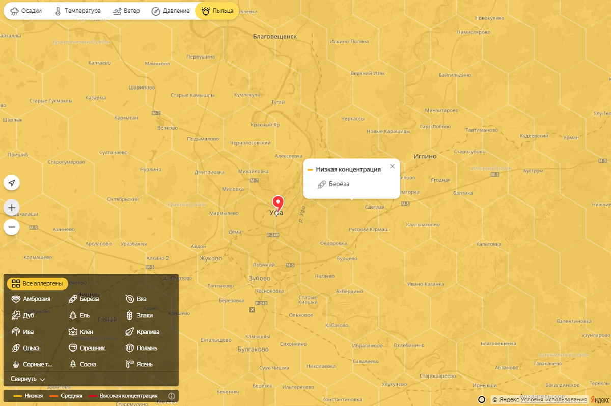 Карта пыльцы березы. Карта пыльцы для аллергиков Москва. Пыльца амброзии в воздухе. Карта ветров Уфа. Карта цветения амброзии в Краснодаре.