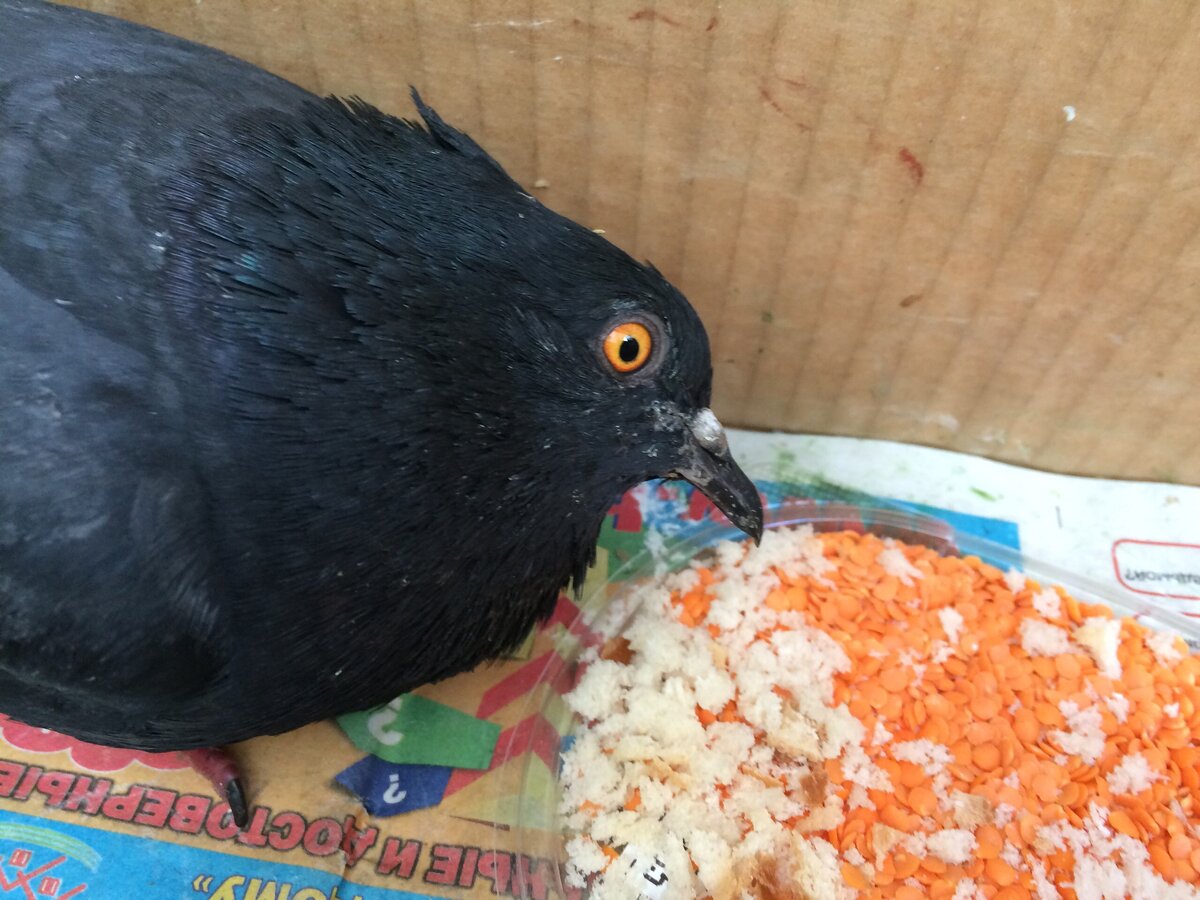 Фото: ВКонтакте 