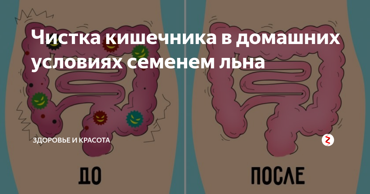 Правильное очищение кишечника в домашних условиях. Для кишечник домашних условиях.