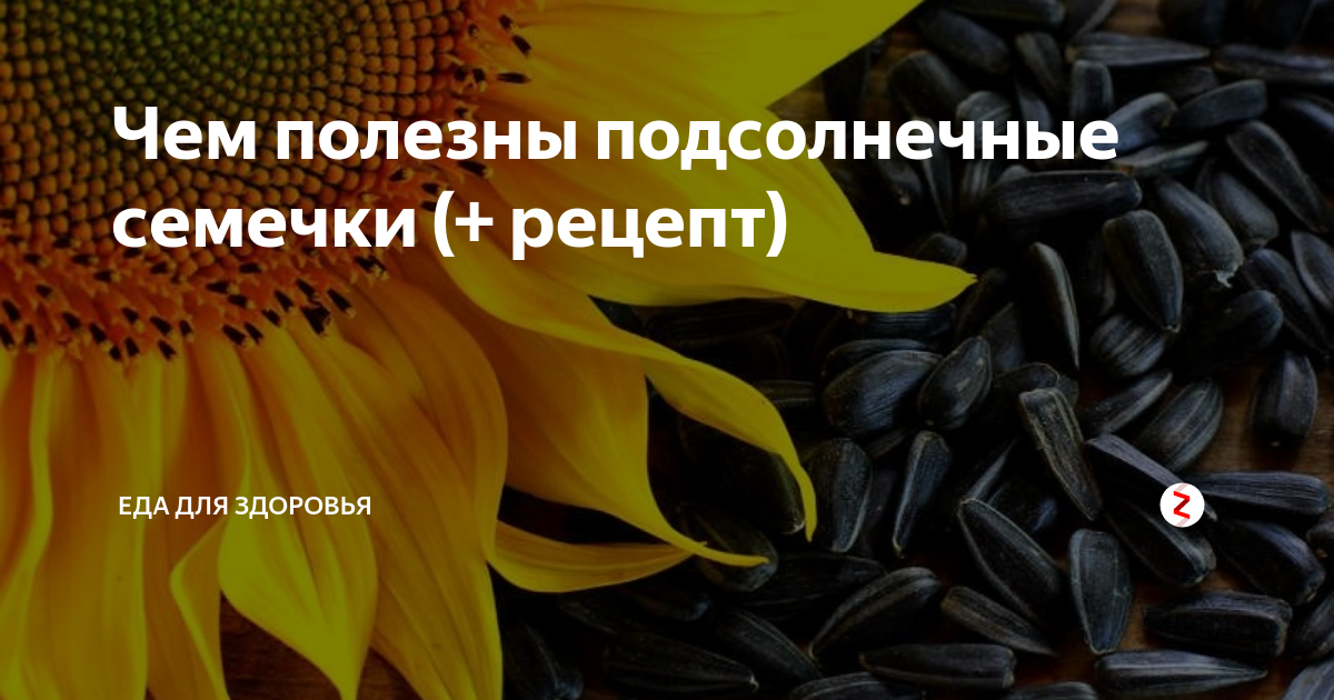 Чем полезны семечки. Холестерин и семечки подсолнечника. Семечки подсолнуха холестерин. Семечки подсолнуха при холестерине.