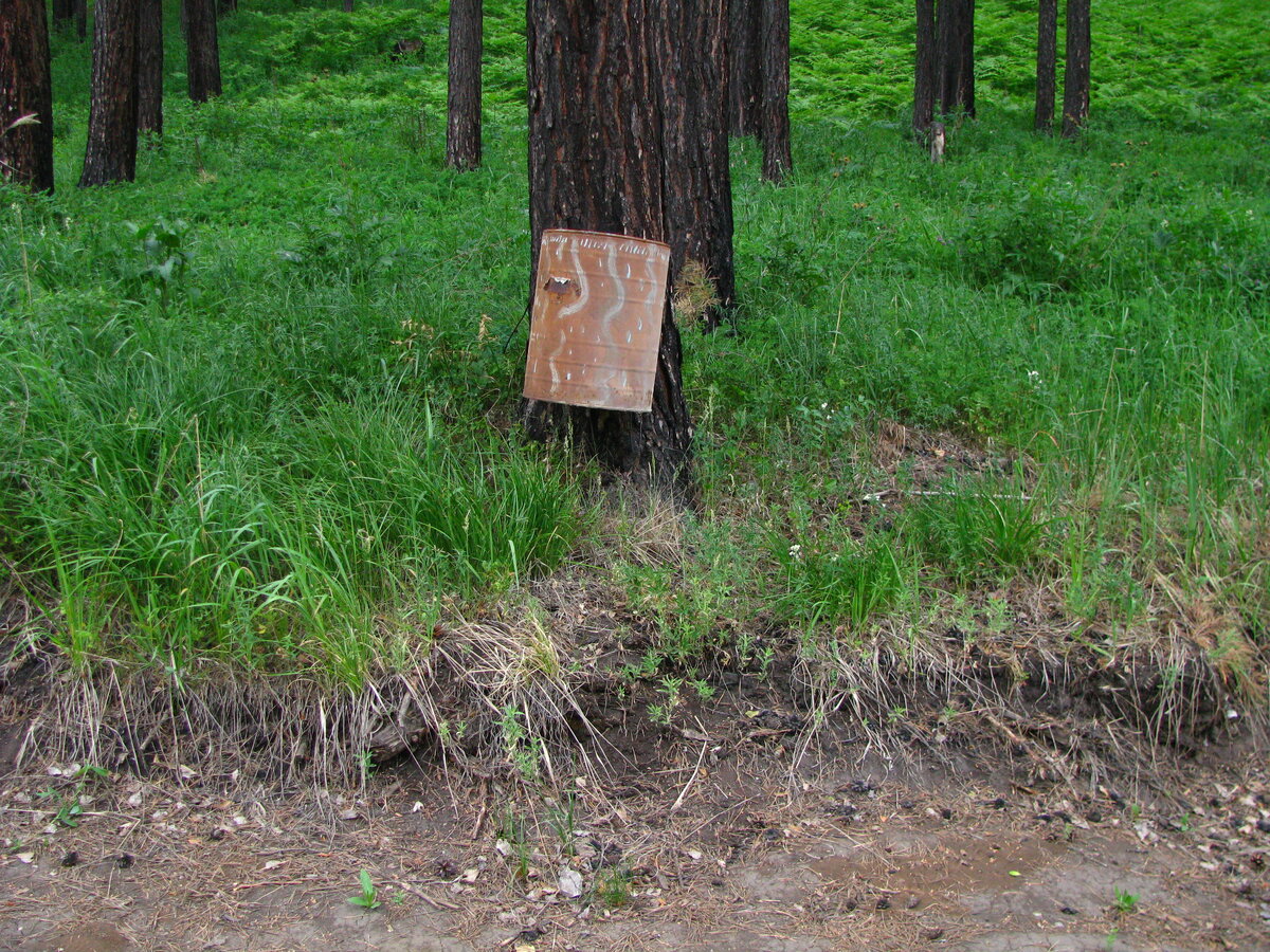 Мусорный бачок