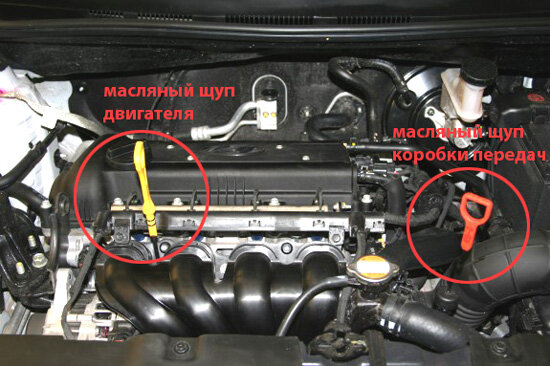 Иногда щуп АКПП находится здесь
