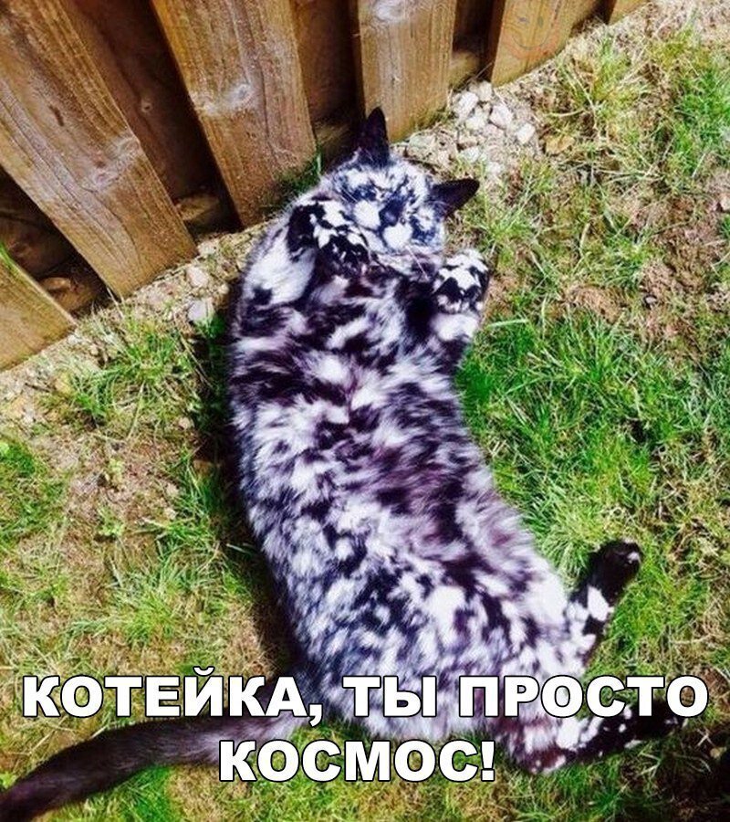 Спасибо! Я в курсе)))