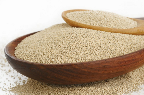 Какие дрожжи подойдут для хорошей браги?