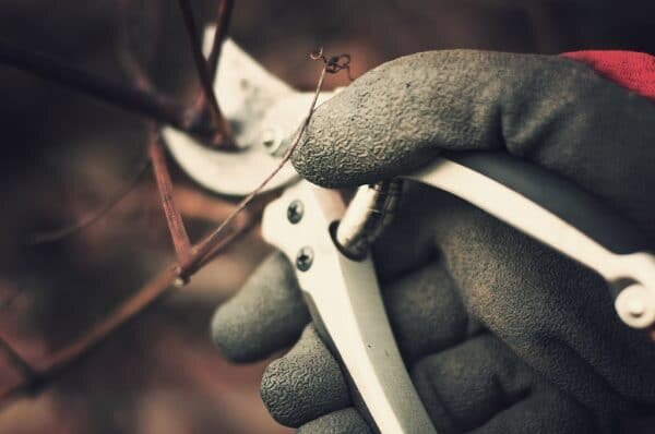 фото: flickr.com