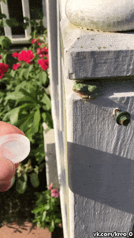 фото: reddit.com