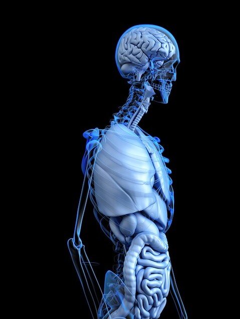 Фото pixabay.com