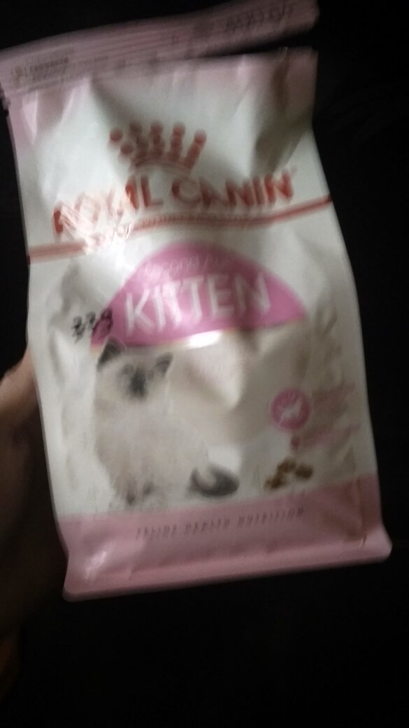 сухой корм для котят