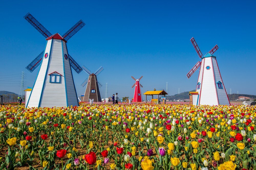 Нидерланды